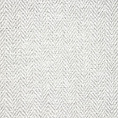 Switch-Snow 40555-0021