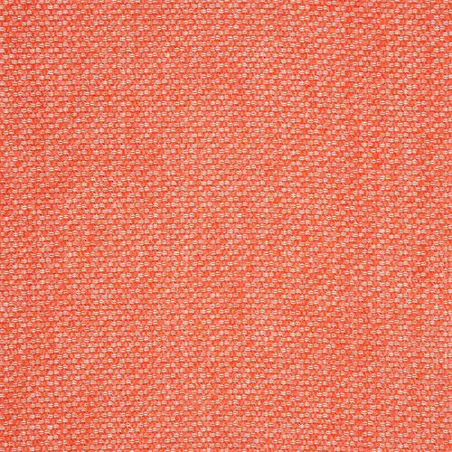 Tailored-Guava 42082-0021